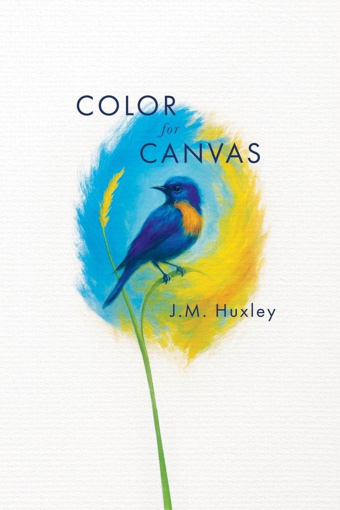 Color for Canvas