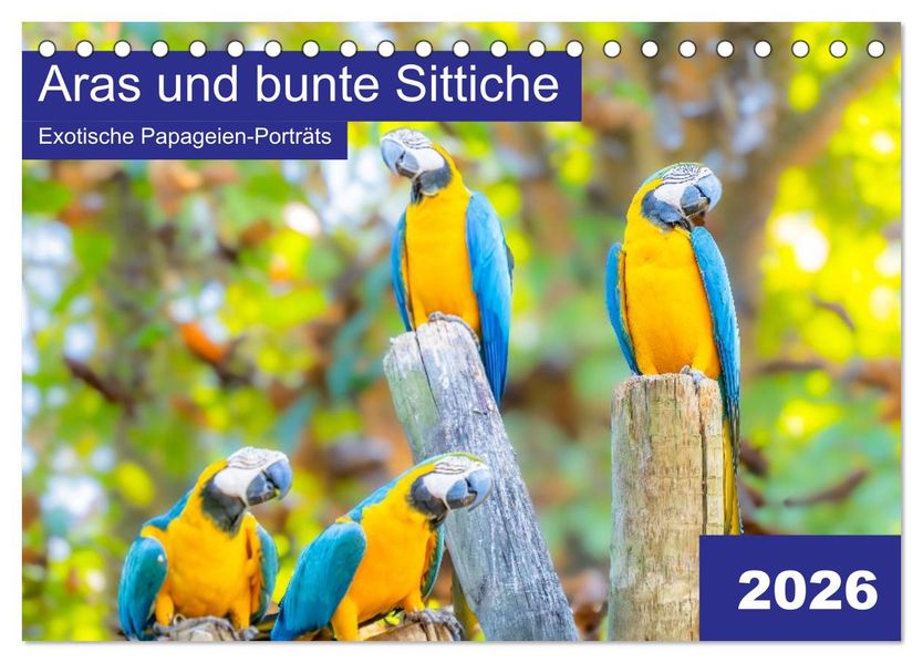 Aras und bunte Sittiche: Exotische Papageien-Porträts (Tischkalender 2026 DIN A5 quer) CALVENDO Monatskalender
