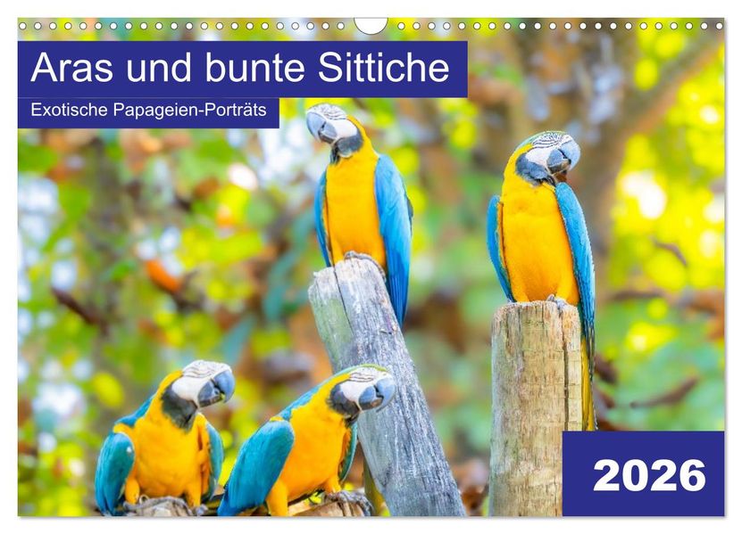 Aras und bunte Sittiche: Exotische Papageien-Porträts (Wandkalender 2026 DIN A3 quer) CALVENDO Monatskalender