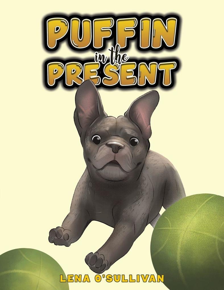 Puffin in the Present