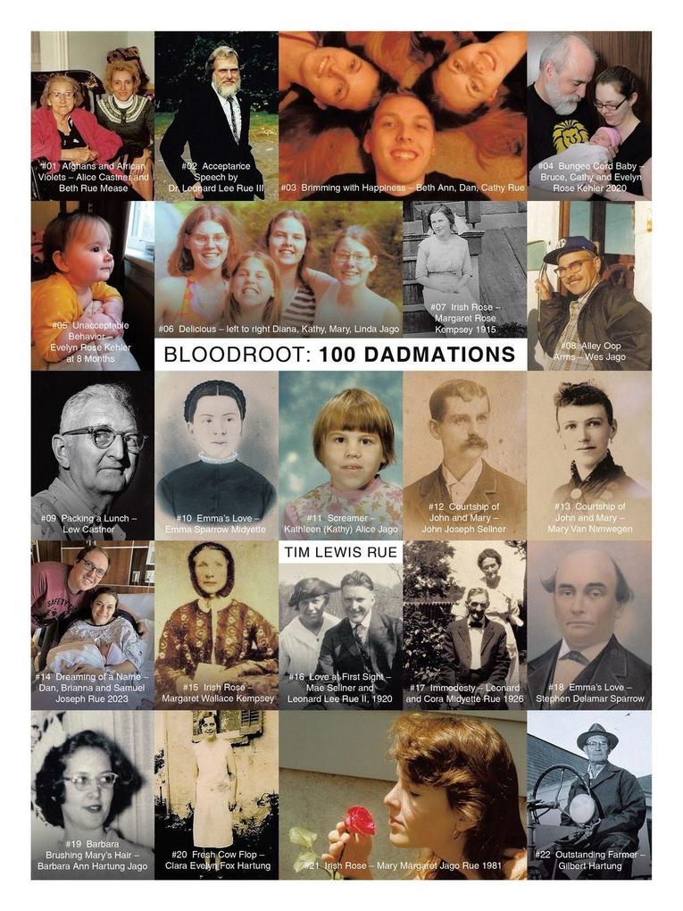 Bloodroot