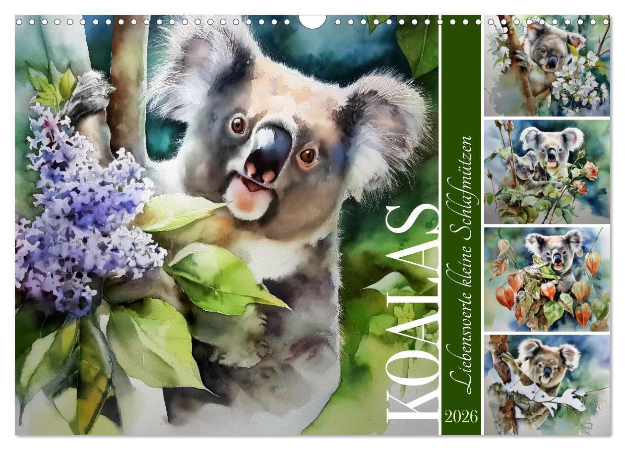 Koalas liebenswerte kleine Schlafmützen (Wandkalender 2026 DIN A3 quer) CALVENDO Monatskalender