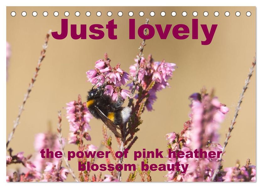 Just lovely - the power of pink heather blossom beauty (Desk Calendar 2026 DIN A5 landscape) CALVENDO 12 Month DeskCalendar