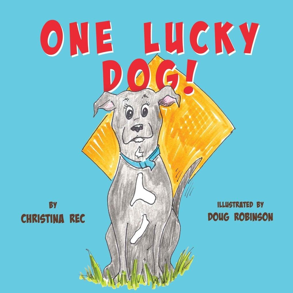 One Lucky Dog!
