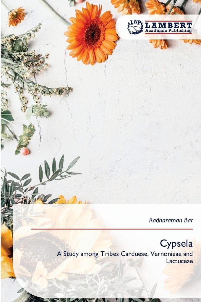 Cypsela