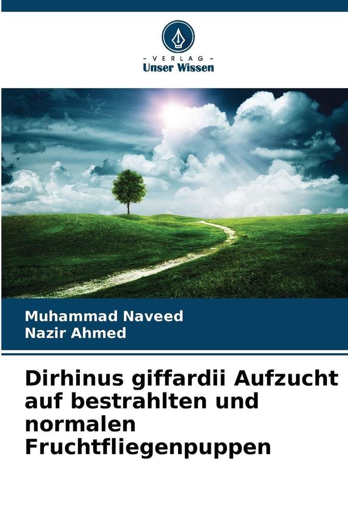Dirhinus giffardii Aufzucht auf bestrahlten und normalen Fruchtfliegenpuppen