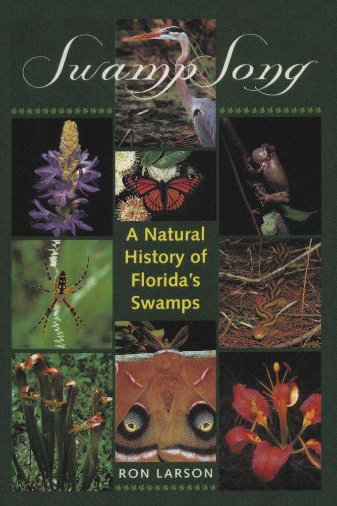 Swamp Song
