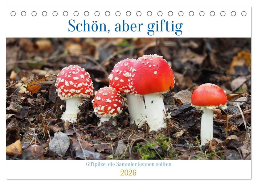 Schön aber giftig. Giftpilze die Sammler kennen sollten. (Tischkalender 2026 DIN A5 quer) CALVENDO Monatskalender