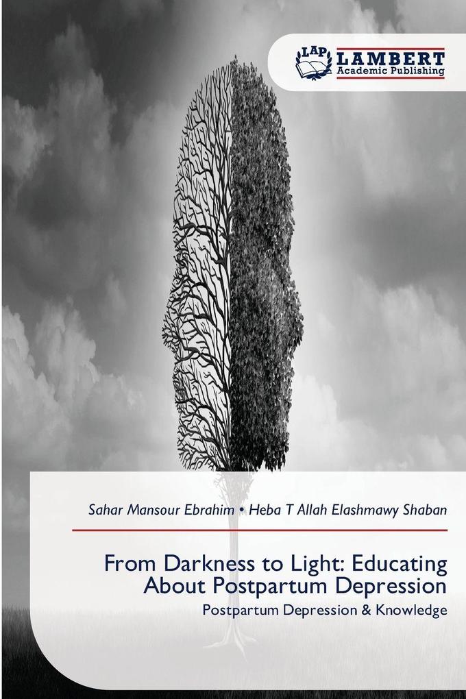 From Darkness to Light: Educating About Postpartum Depression