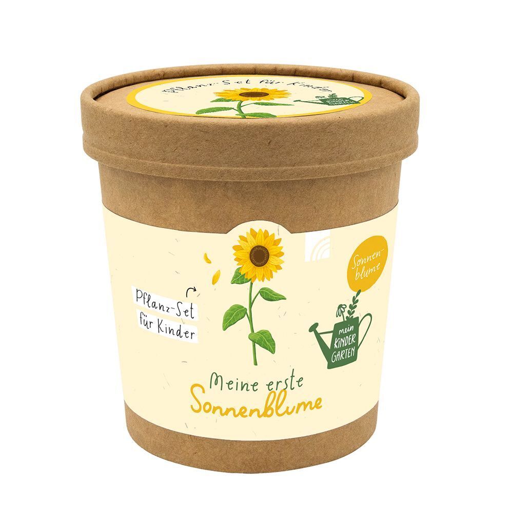 Meine erste Sonnenblume