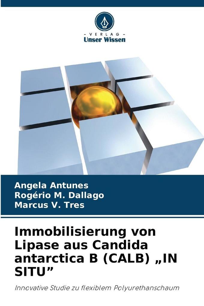 Immobilisierung von Lipase aus Candida antarctica B (CALB) 'IN SITU'
