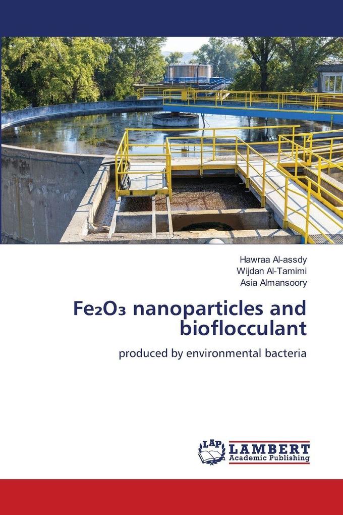 FeO nanoparticles and bioflocculant