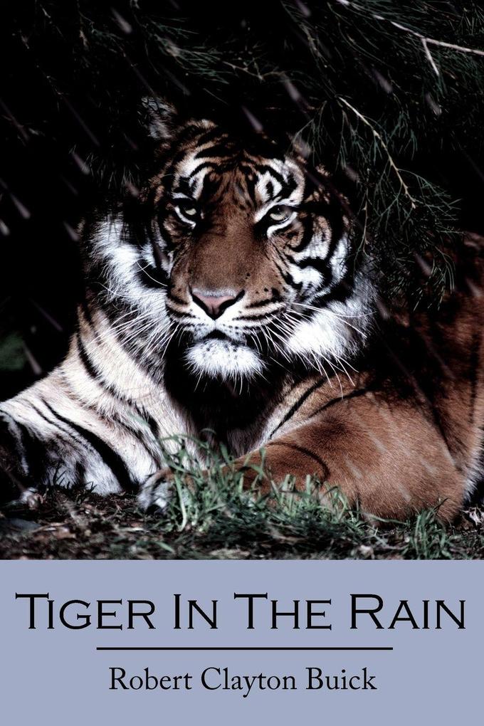 Tiger In The Rain