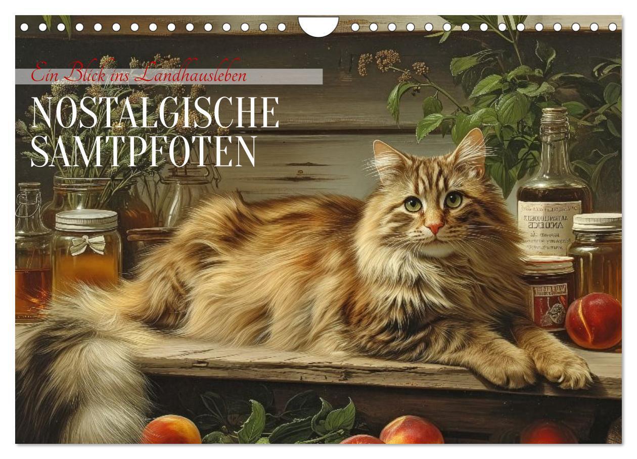 Nostalgische Samtpfoten (Wandkalender 2026 DIN A4 quer) CALVENDO Monatskalender
