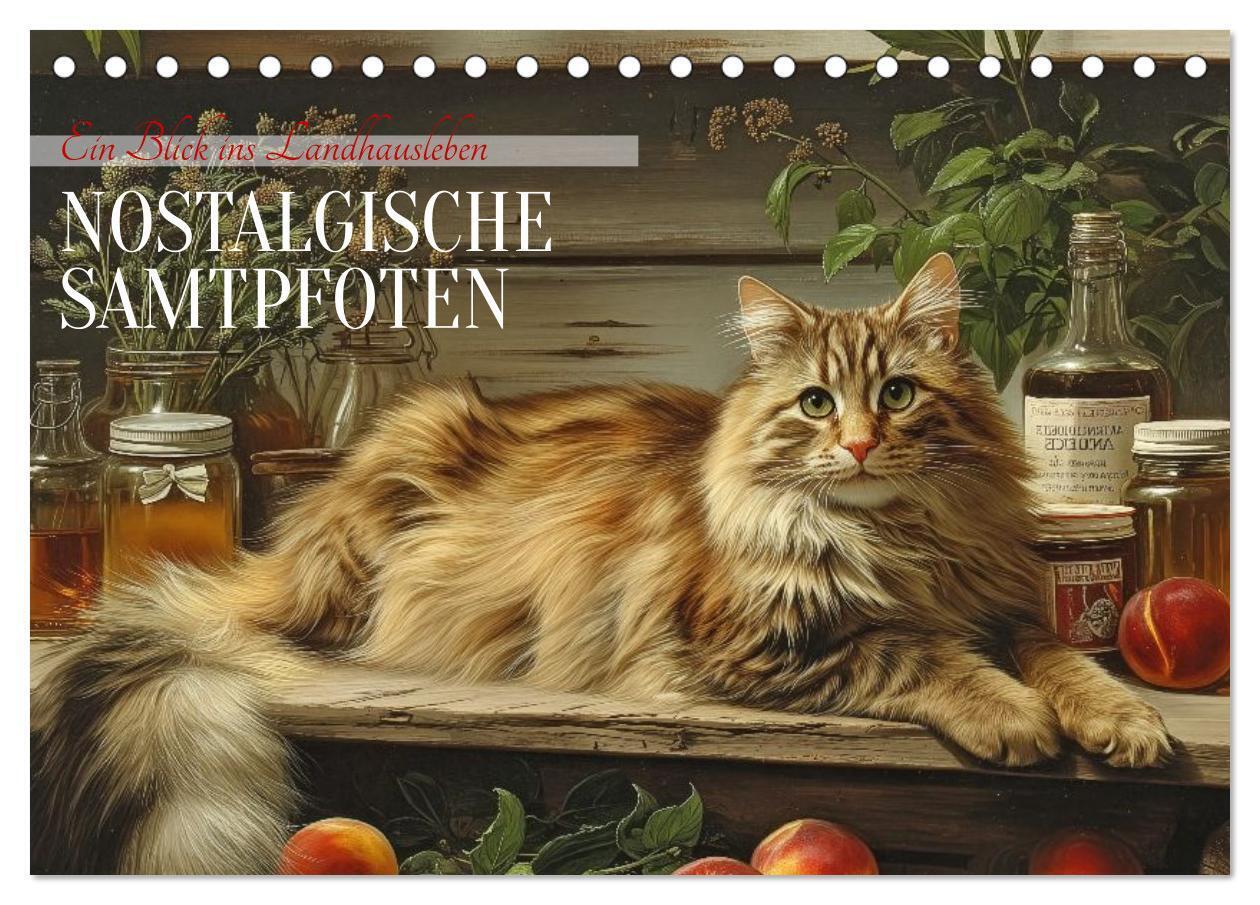 Nostalgische Samtpfoten (Tischkalender 2026 DIN A5 quer) CALVENDO Monatskalender