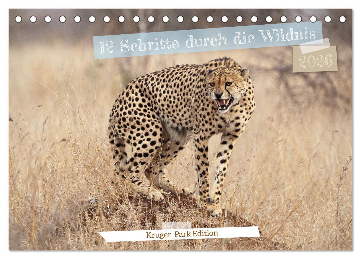 12 Schritte durch die Wildnis Kruger Park Edition (Tischkalender 2026 DIN A5 quer) CALVENDO Monatskalender