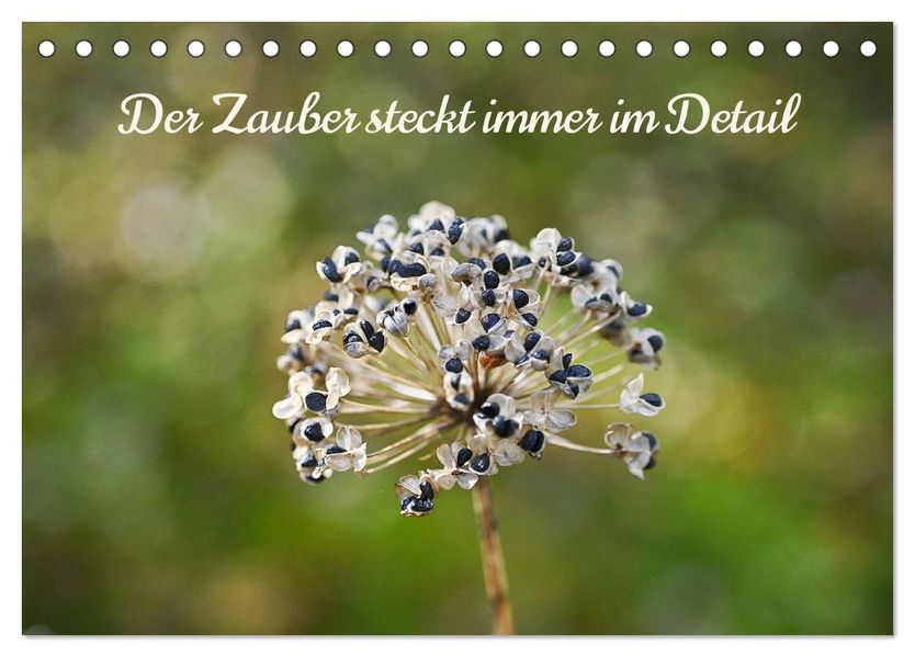 Der Zauber steckt immer im Detail (Tischkalender 2026 DIN A5 quer) CALVENDO Monatskalender