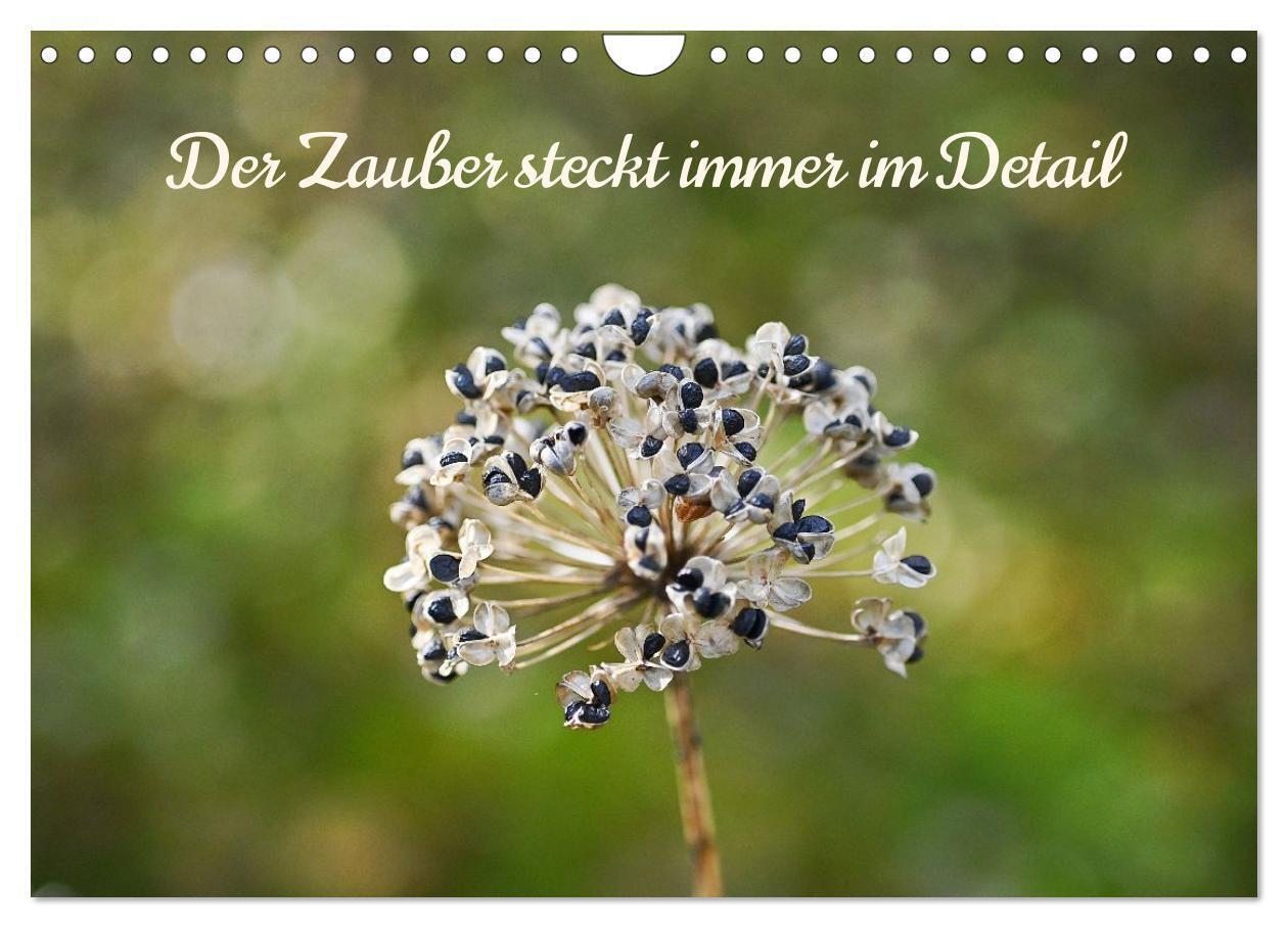 Der Zauber steckt immer im Detail (Wandkalender 2026 DIN A4 quer) CALVENDO Monatskalender