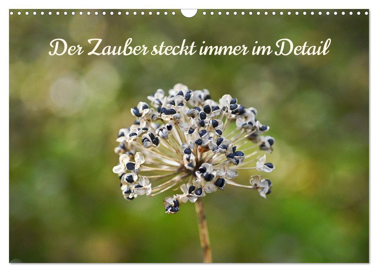 Der Zauber steckt immer im Detail (Wandkalender 2026 DIN A3 quer) CALVENDO Monatskalender