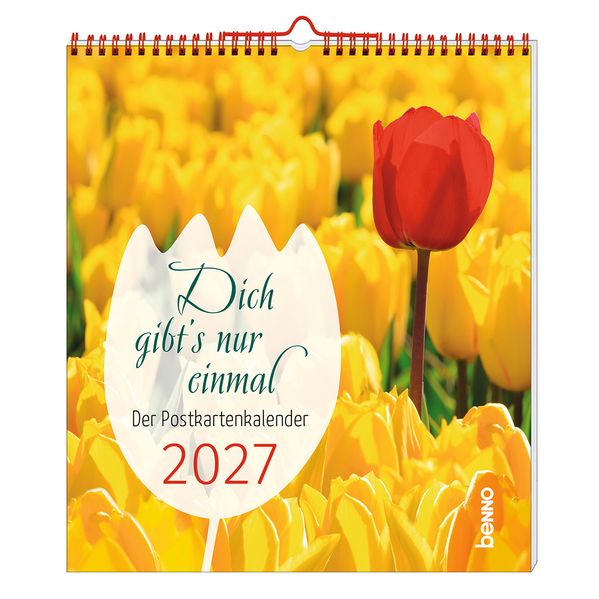 Dich gibt's nur einmal 2027