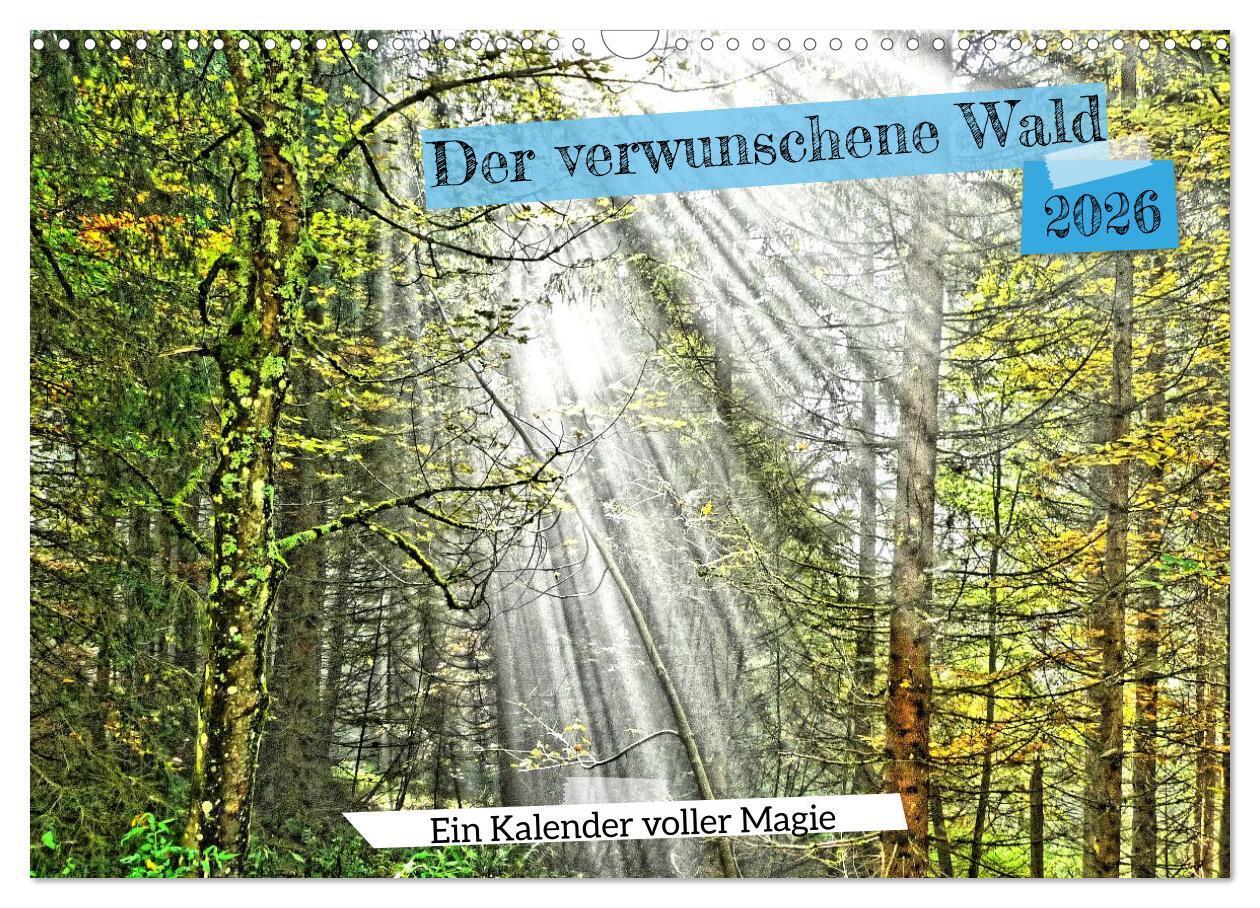 Verwunschene Waldträume: Ein Kalender voller Magie (Wandkalender 2026 DIN A3 quer) CALVENDO Monatskalender
