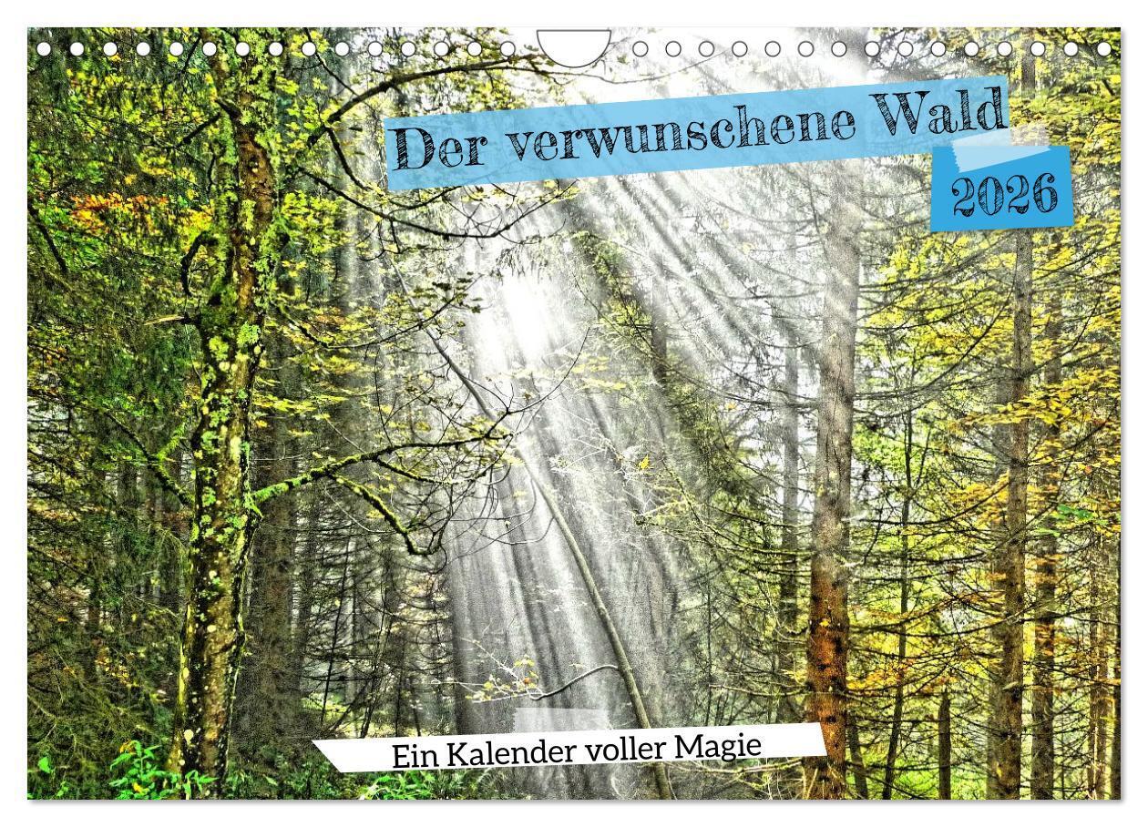 Verwunschene Waldträume: Ein Kalender voller Magie (Wandkalender 2026 DIN A4 quer) CALVENDO Monatskalender
