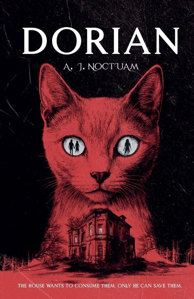 Dorian the stray cat