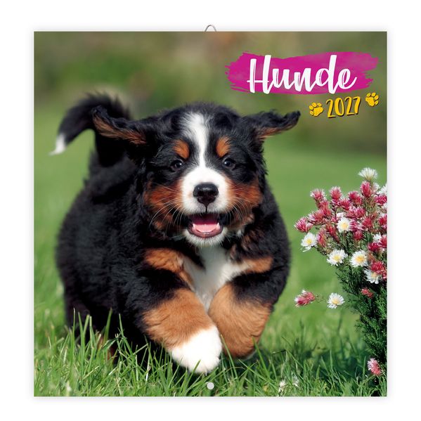 TRÖTSCH - Broschürenkalender Hunde 2027