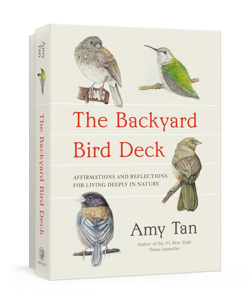 The Backyard Bird Deck