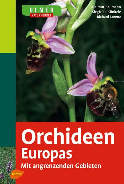 Ulmer Naturführer Orchideen Europas - Helmut Baumann/ Siegfried Künkele/ Richard Lorenz