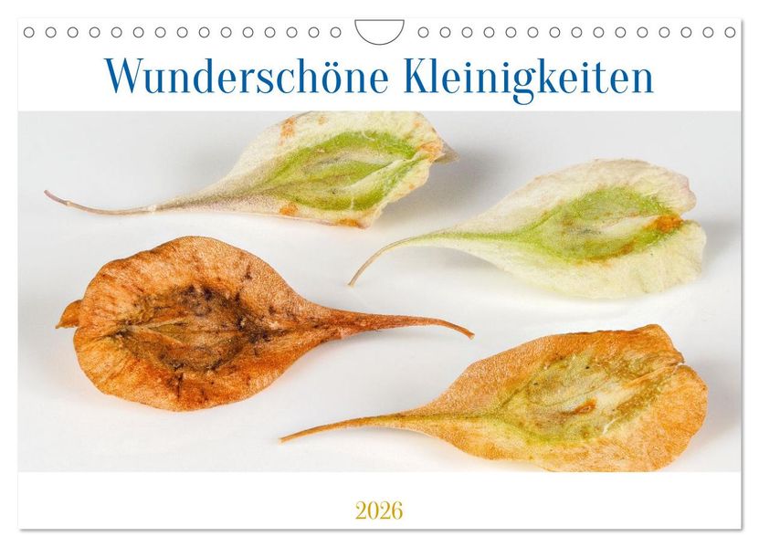 Wunderschöne Kleinigkeiten (Wandkalender 2026 DIN A4 quer) CALVENDO Monatskalender