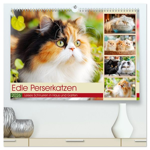 Edle Perserkatzen. Leises Schnurren in Haus und Garten (hochwertiger Premium Wandkalender 2026 DIN A2 quer) Kunstdruck in Hochglanz