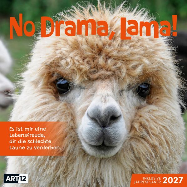 No Drama Lama Kalender 2027 - 30x30 - Art12