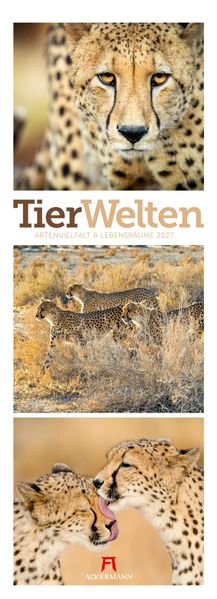 Tierwelten Triplet-Kalender 2027 | Artenvielfalt & Lebensräume