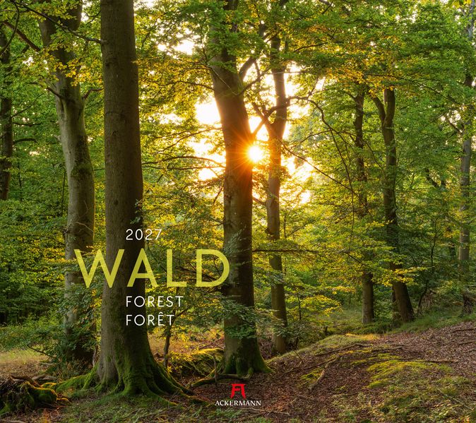 Wald Kalender 2027