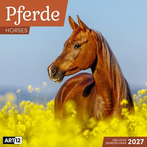 Pferde Kalender 2027 - 30x30 - Art12
