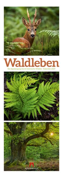 Waldleben Triplet-Kalender 2027 | Spaziergang durch heimische Wälder