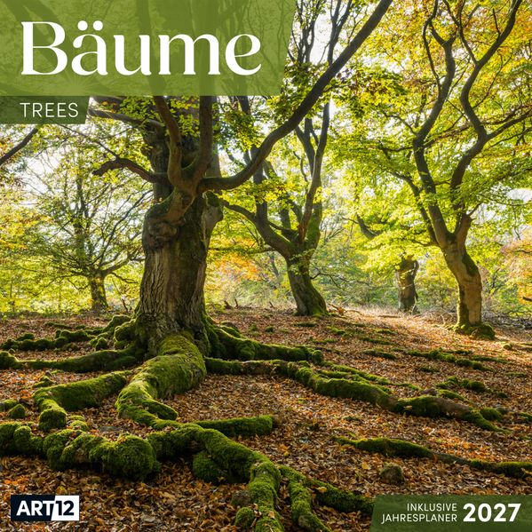 Bäume Kalender 2027 - 30x30 - Art12