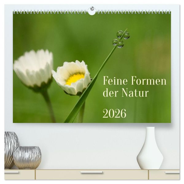 Feine Formen der Natur (hochwertiger Premium Wandkalender 2026 DIN A2 quer) Kunstdruck in Hochglanz