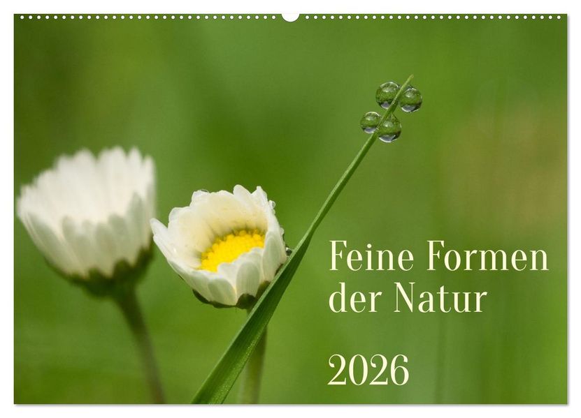 Feine Formen der Natur (Wandkalender 2026 DIN A2 quer) CALVENDO Monatskalender