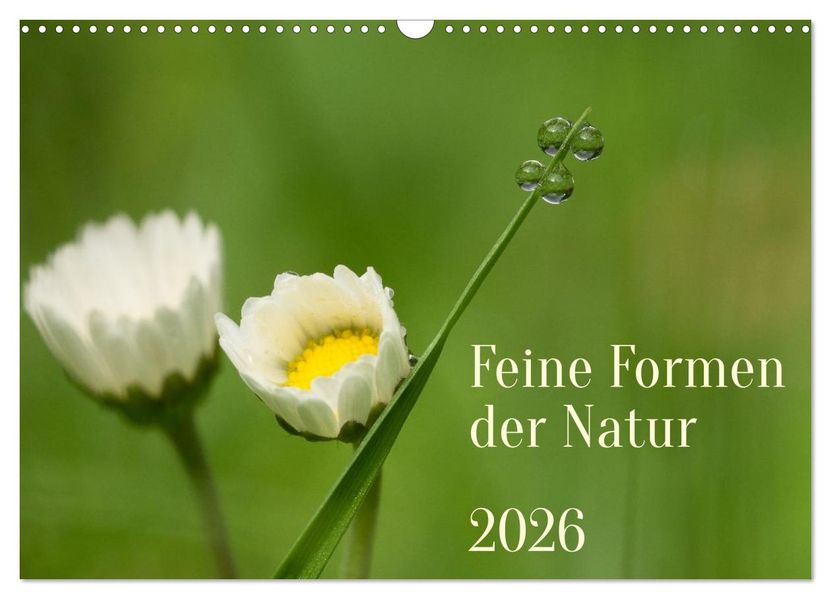 Feine Formen der Natur (Wandkalender 2026 DIN A3 quer) CALVENDO Monatskalender