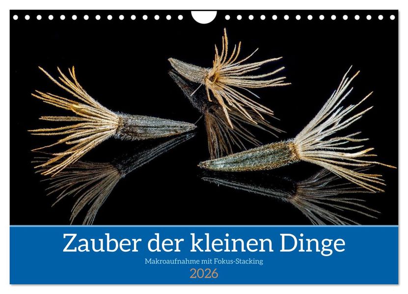 Zauber der kleinen Dinge (Wandkalender 2026 DIN A4 quer) CALVENDO Monatskalender