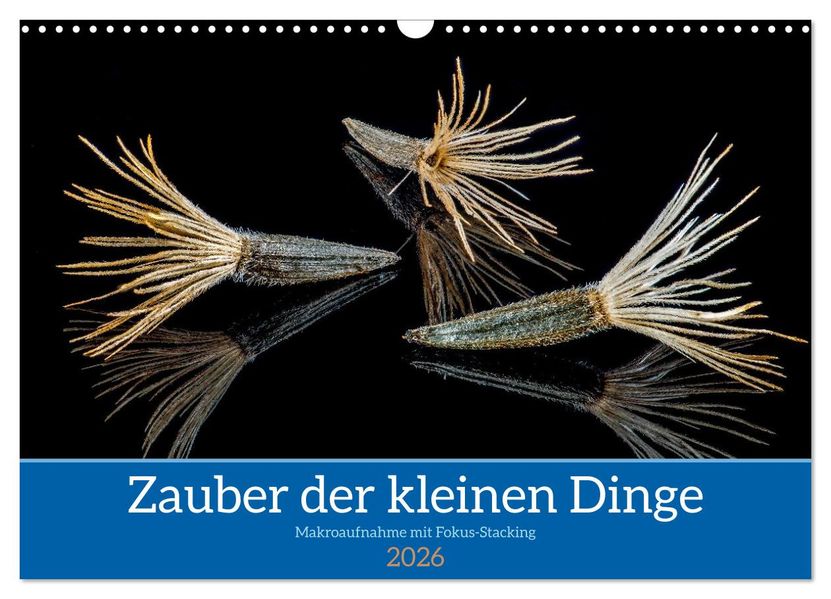 Zauber der kleinen Dinge (Wandkalender 2026 DIN A3 quer) CALVENDO Monatskalender