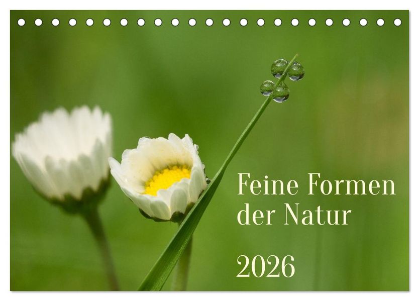 Feine Formen der Natur (Tischkalender 2026 DIN A5 quer) CALVENDO Monatskalender