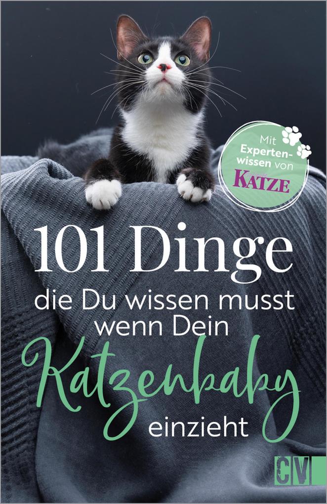 101 Dinge die Du wissen musst wenn Dein Katzenbaby einzieht