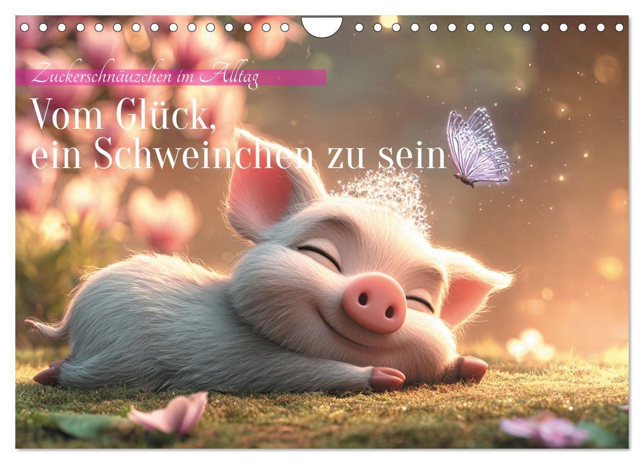 Vom Glück ein Schweinchen zu sein (Wandkalender 2026 DIN A4 quer) CALVENDO Monatskalender
