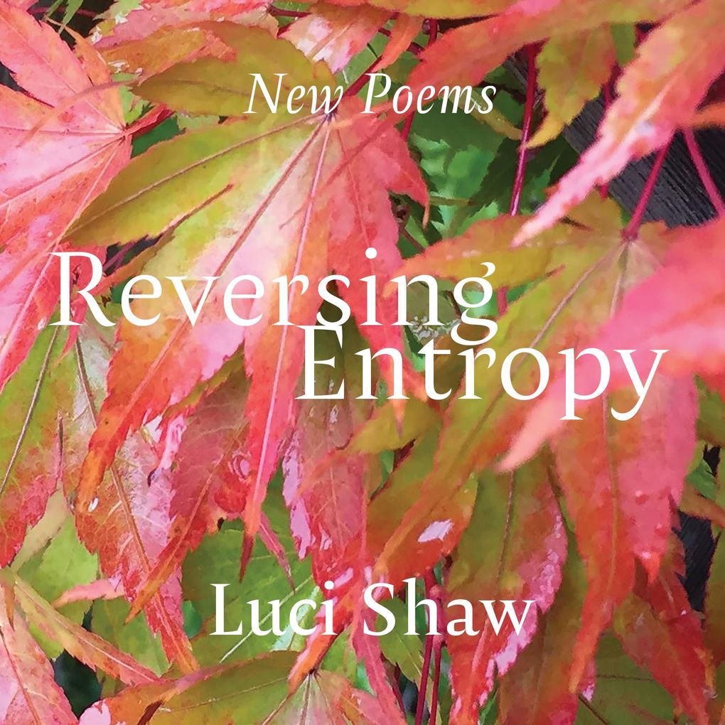 Reversing Entropy
