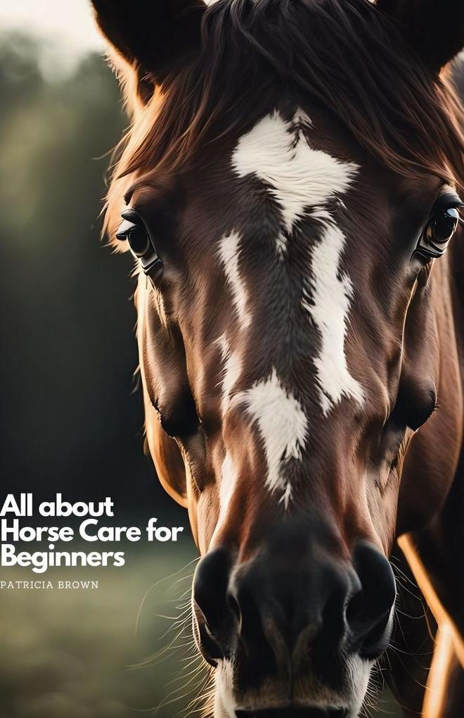 All about Horse Care for Beginners