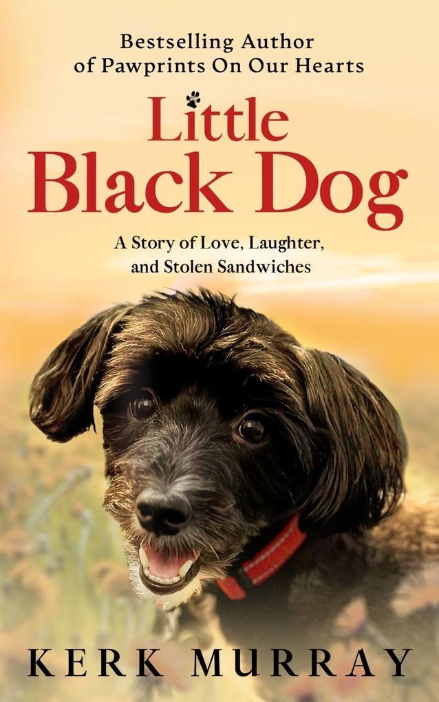 Little Black Dog