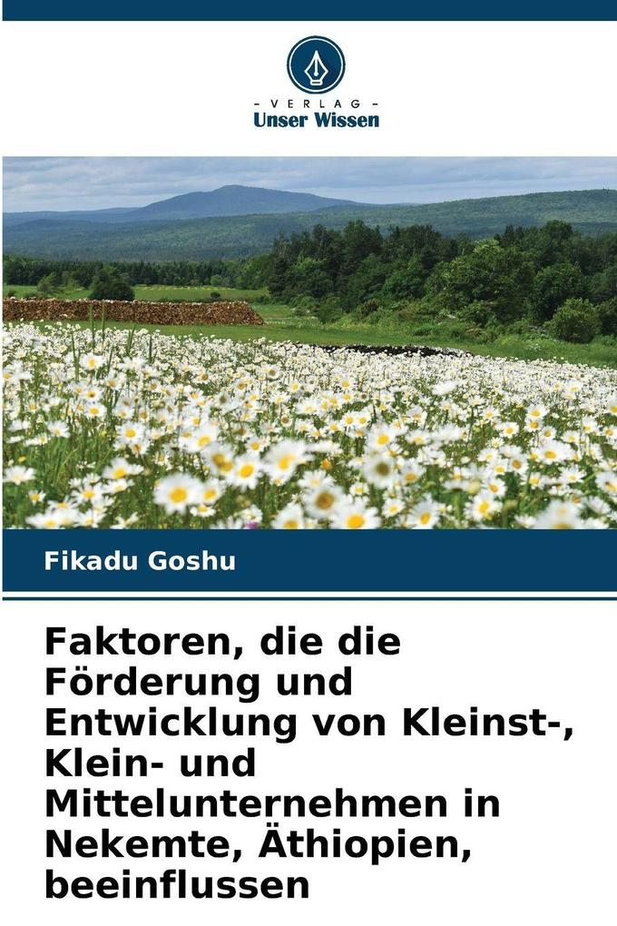 Faktoren die die Förderung und Entwicklung von Kleinst- Klein- und Mittelunternehmen in Nekemte Äthiopien beeinflussen